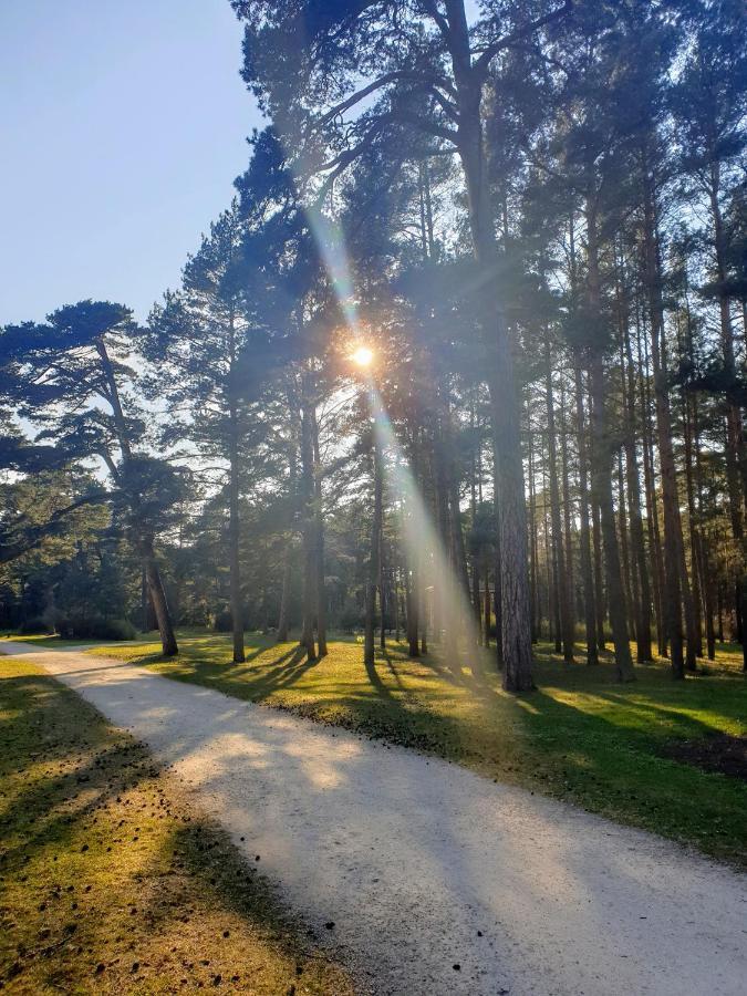 Palanga Apartments Near Baltic Sea 外观 照片